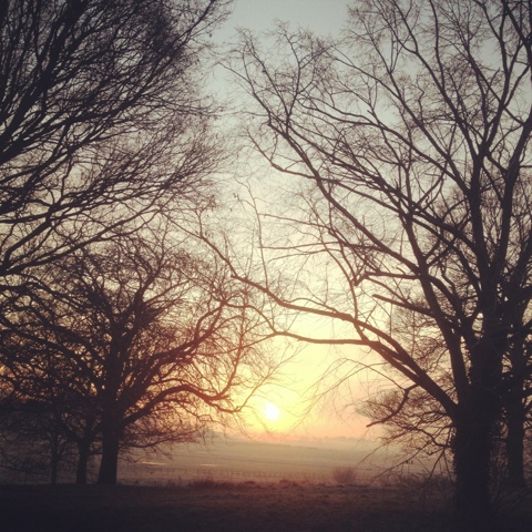 A sunrise over the gentle hills in East Hertfordshire, close to the border with Essex.