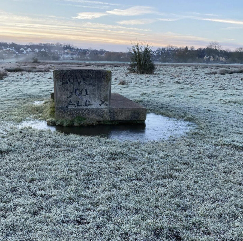 The meads between Hertford and Ware.  Covered in frost, January 2021